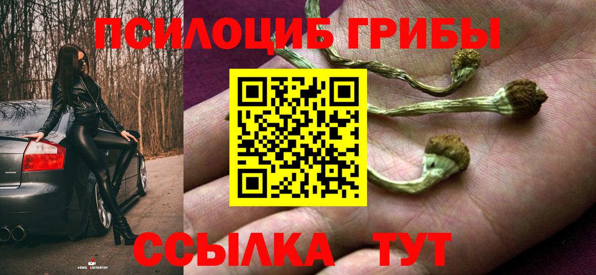 Галлюциногенные грибы MAGIC MUSHROOMS  Вход с VPN  Псилоцибиновые грибы мицелий  Джанкой 